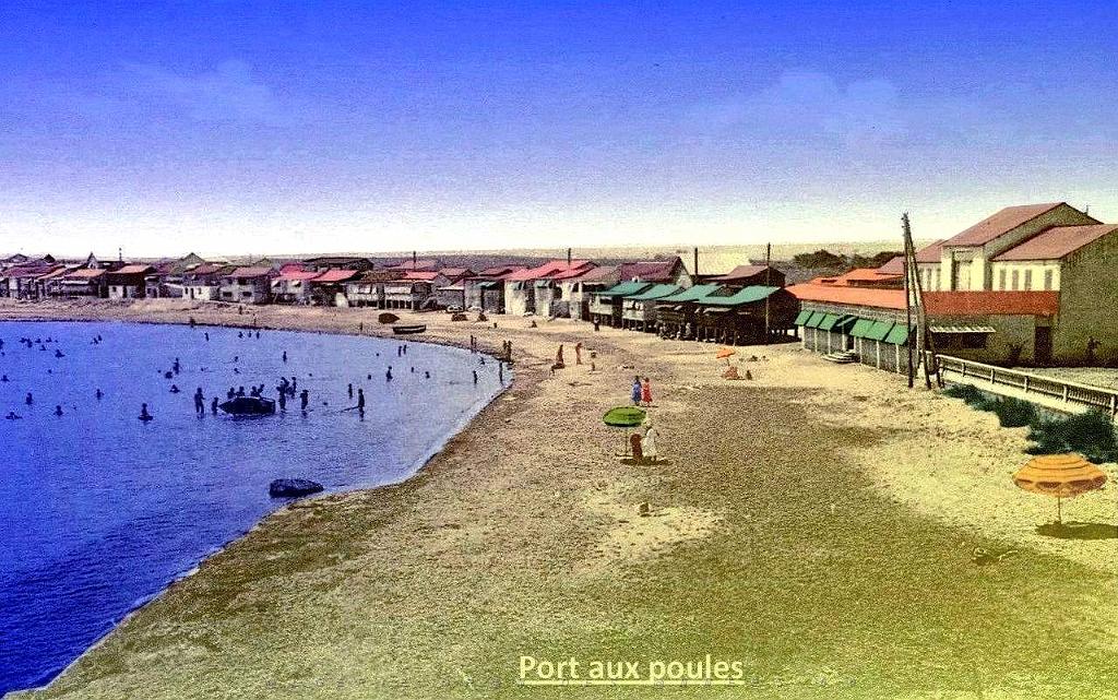 Port aux poules.jpg